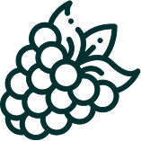 A dark teal line icon of a bunch of grapes with two leaves.