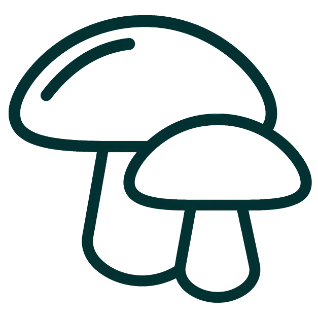 A dark teal line icon of two mushrooms.